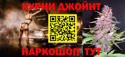 мет Кингисепп