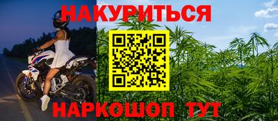 мет Кингисепп