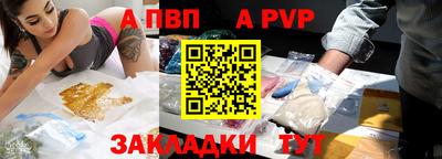 мет Кингисепп